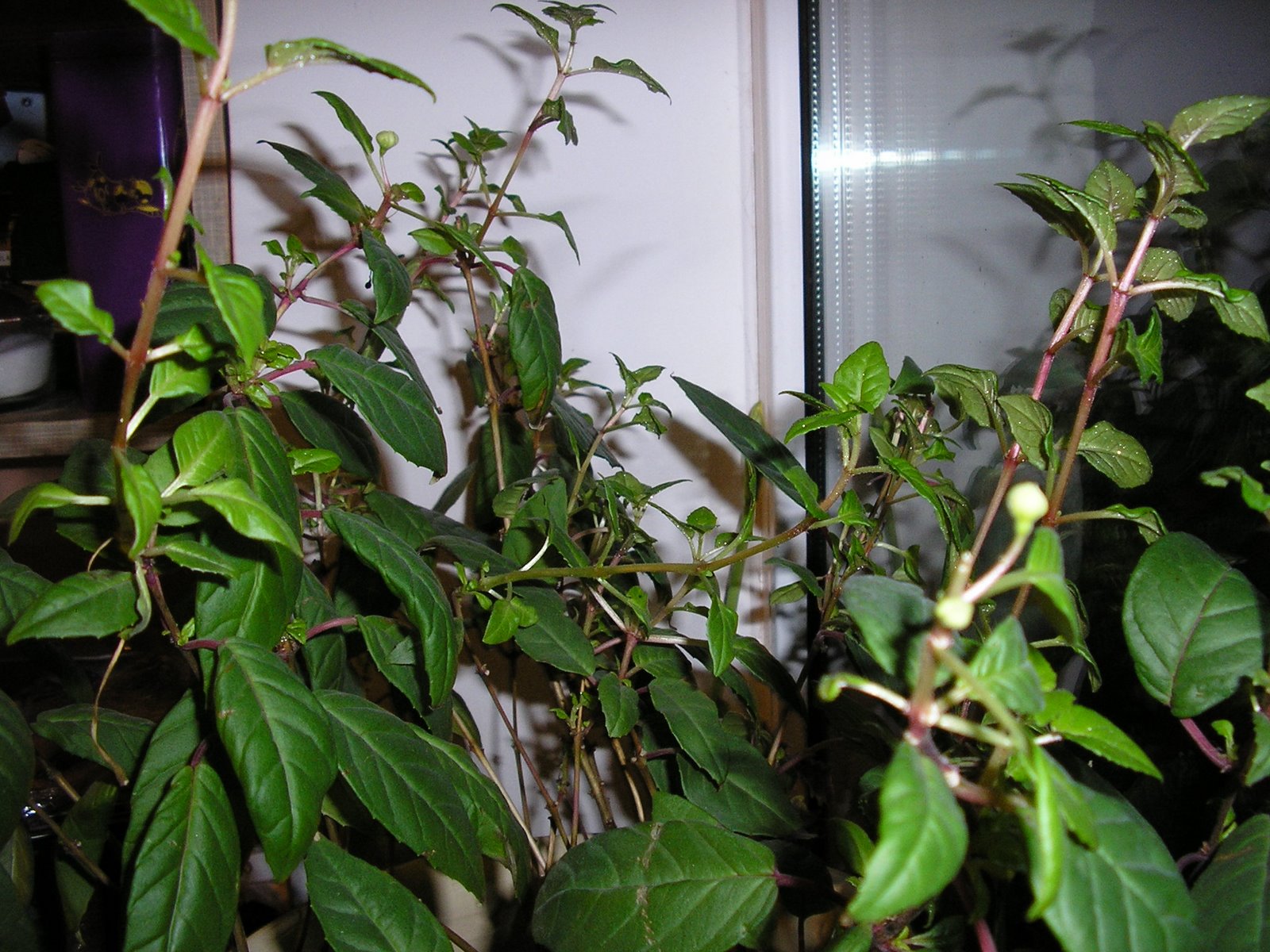 [P1248641.JPG]