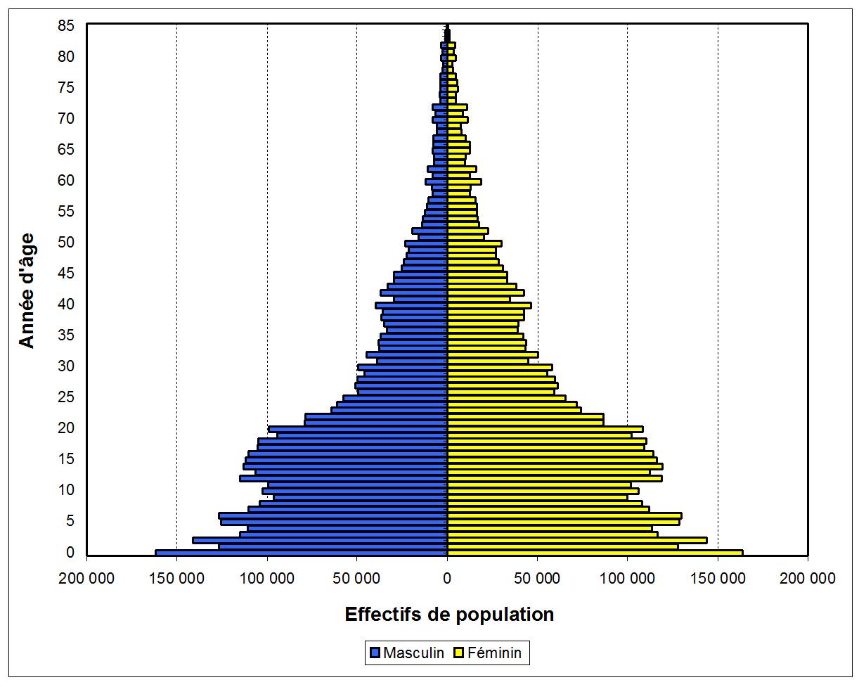Population Pyramid Rwanda