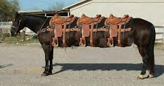 Old West Stretch Limo