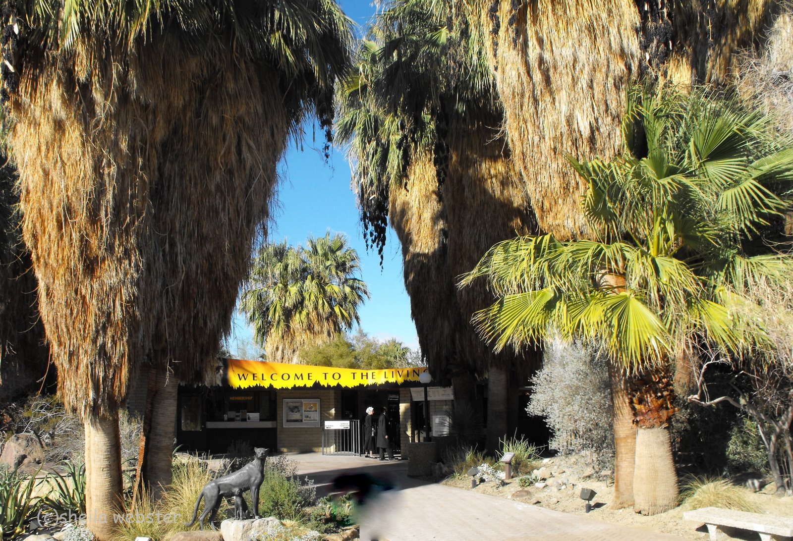 We Love RV'ing Living Desert Zoo and Botanical Gardens Palm Desert, CA