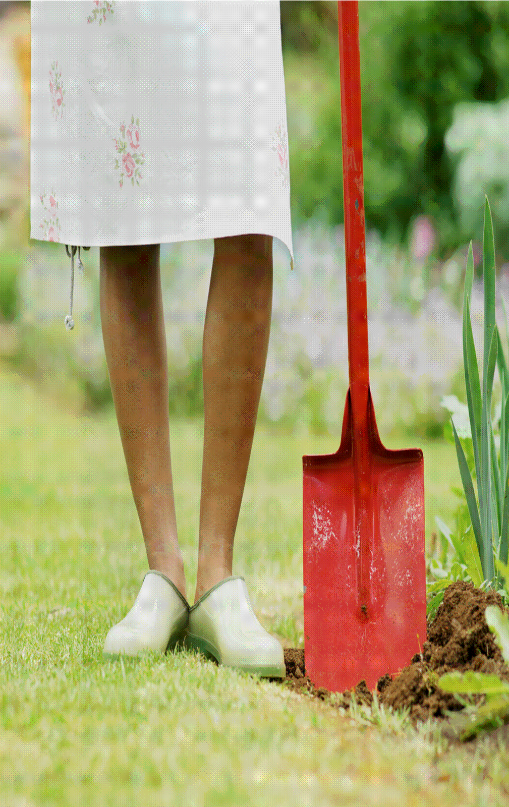 [Gardening+red+shovel.gif]