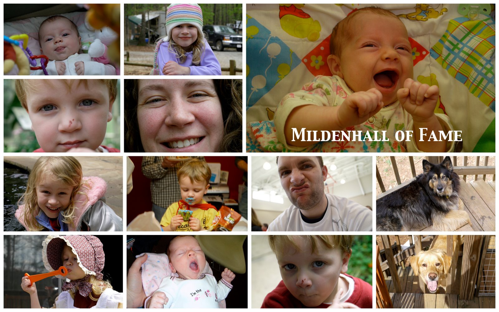 MildenHall of Fame