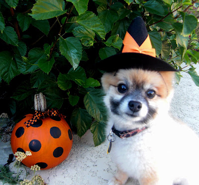 Happy Halloween!! 10