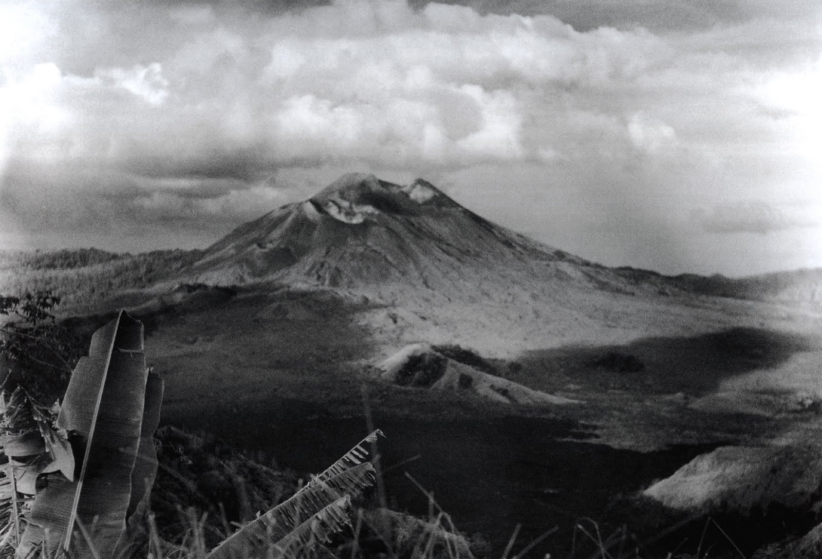gotthard schuh