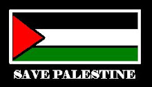 Save Palestine