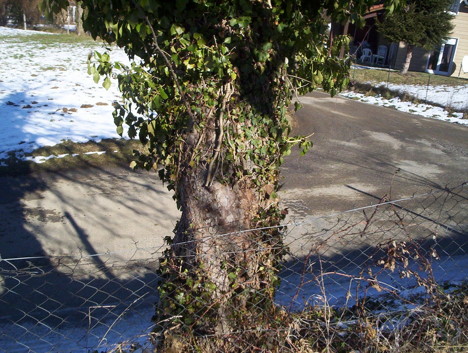 [100_0551.JPG]