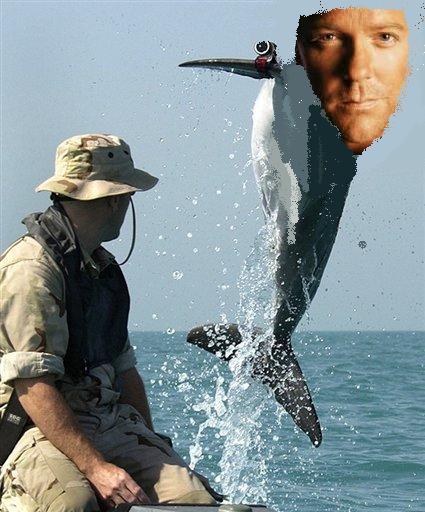 [dolphinbauer.JPG]