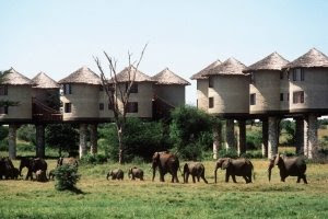 Mount Meru Game Lodge Tanzania