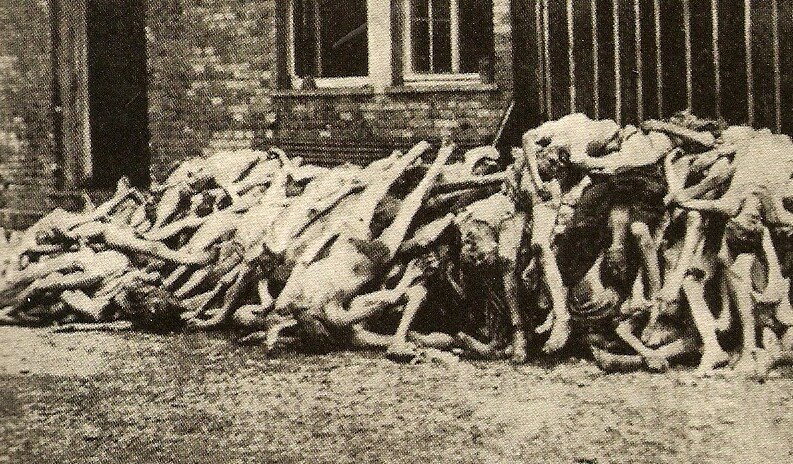 an analysis and a history of the holocaust caused by hitler They will also analyze the nazi party platform and, in an extension about the to capitalize on the chaos caused by runaway hyperinflation, hitler attempted to. an analysis and a history of the holocaust caused by hitler They will also analyze the nazi party platform and, in an extension about the to capitalize on the chaos caused by runaway hyperinflation, hitler attempted to.