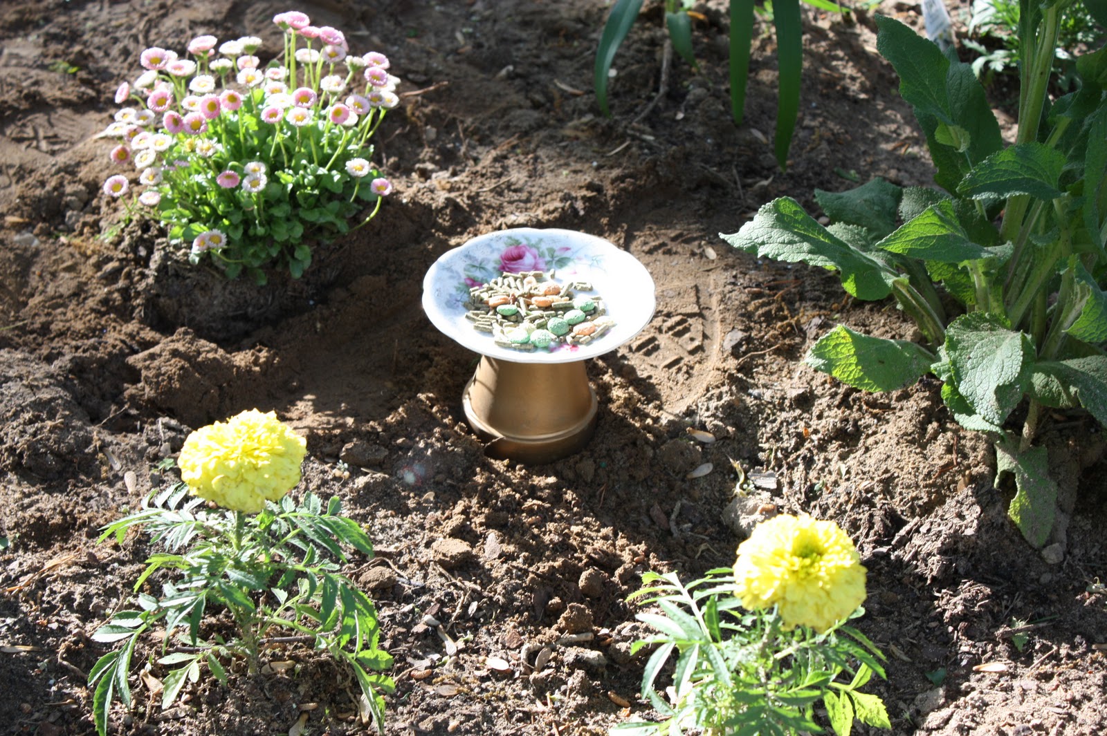 Pirates and Pixies Blog Second Hand Garden