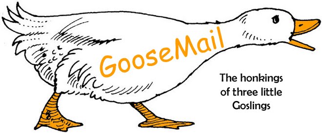 GooseMail