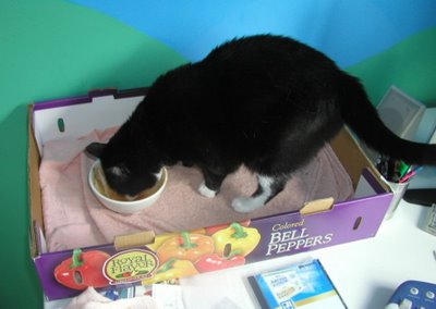 [Brunch.JPG]