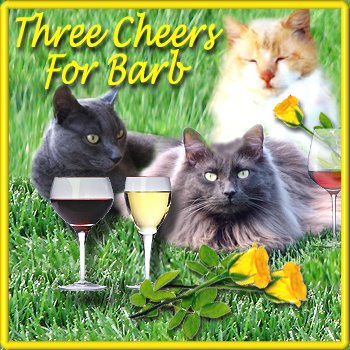 [three+cheers+for+Barb+Friday+22.jpg]