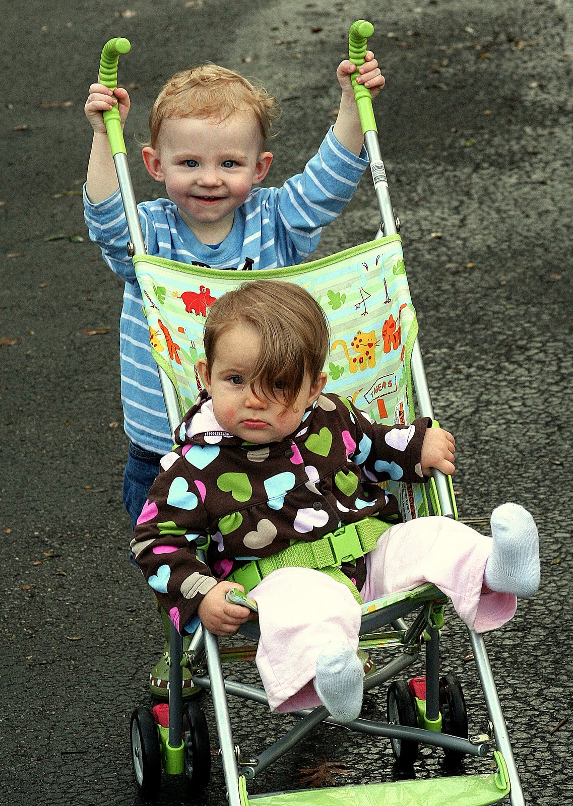 [stroller+2.JPG]