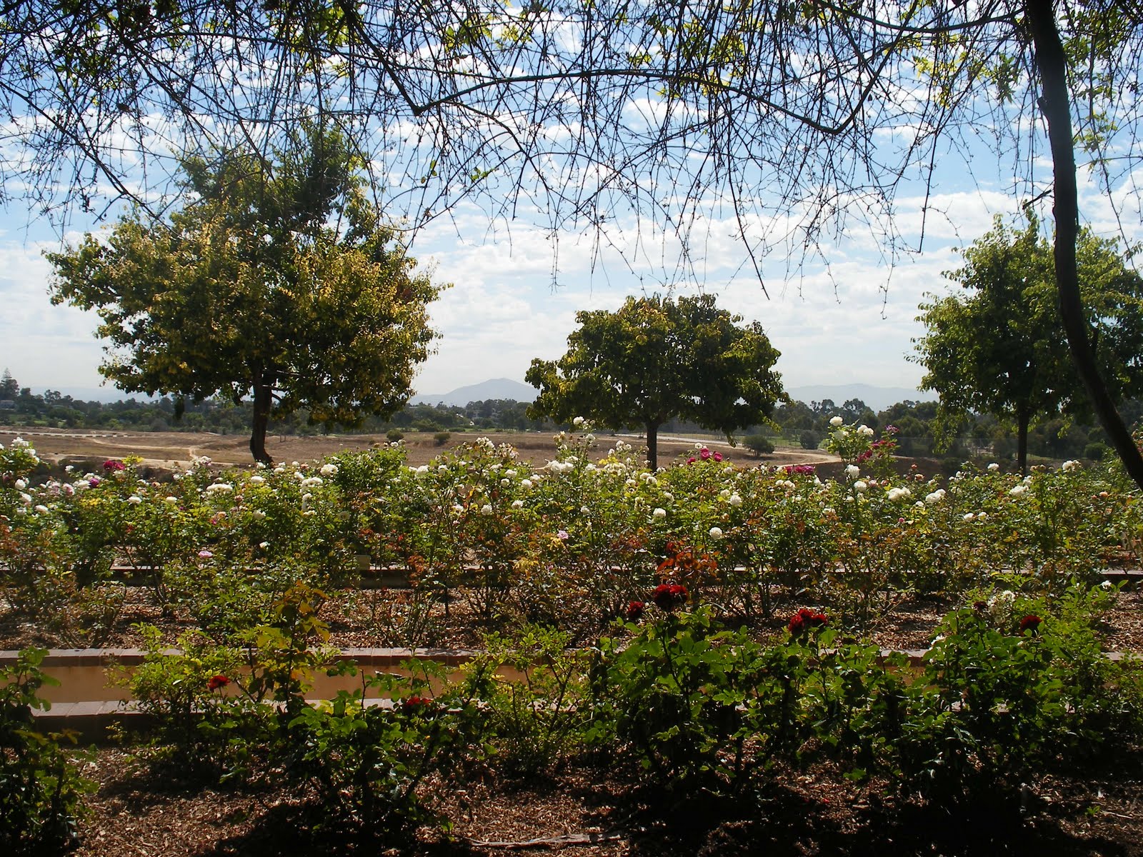 [DSCF1727.JPG]