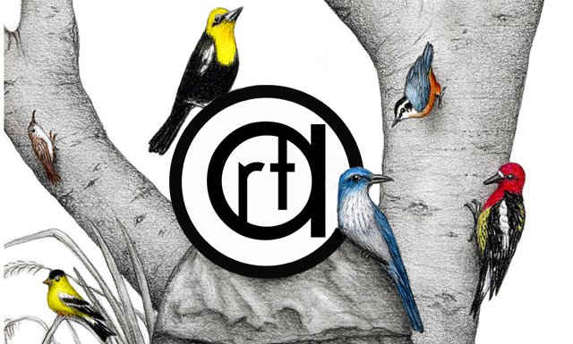 Northwest Art Alliance