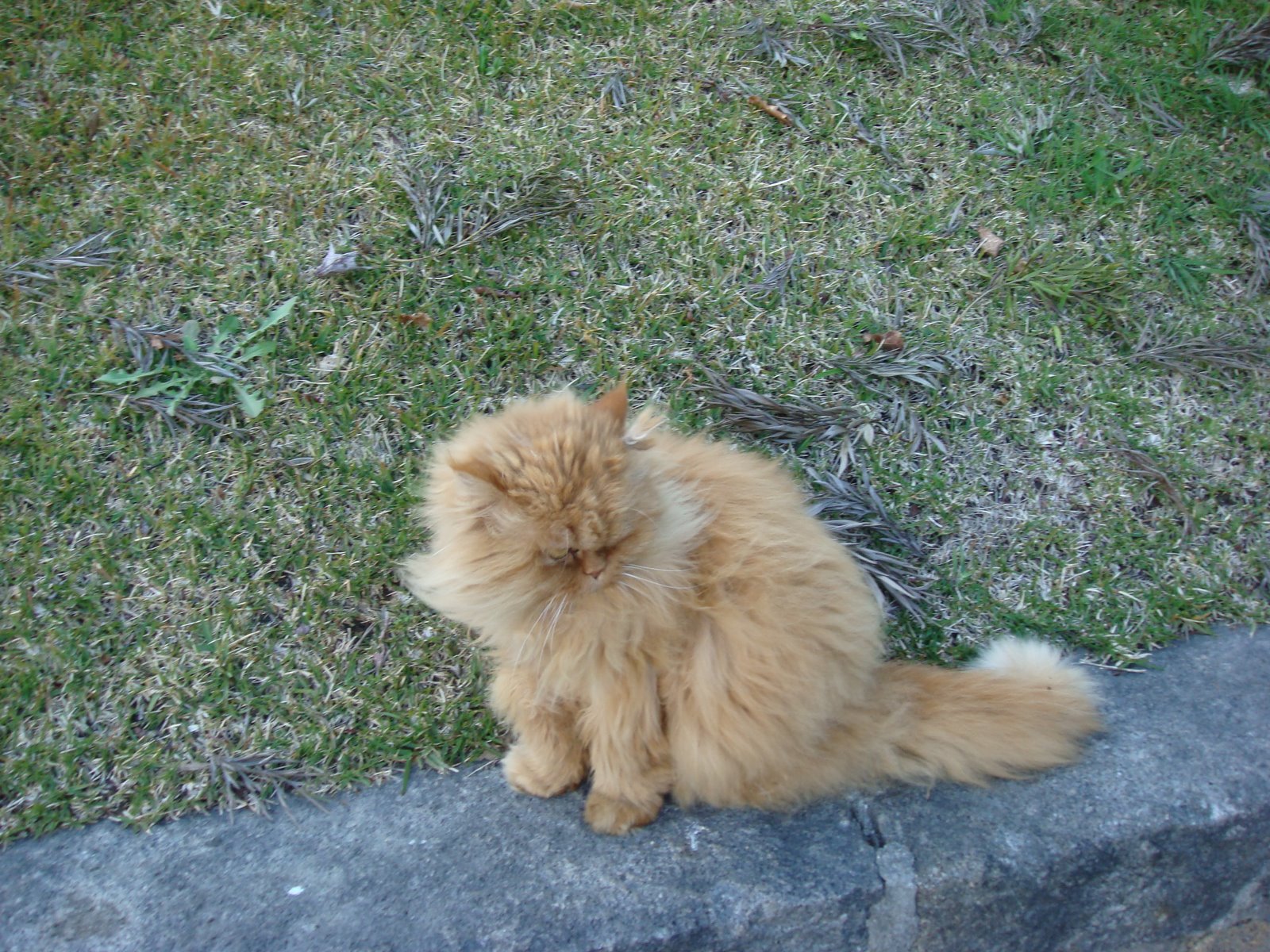 [DSC00013.JPG]
