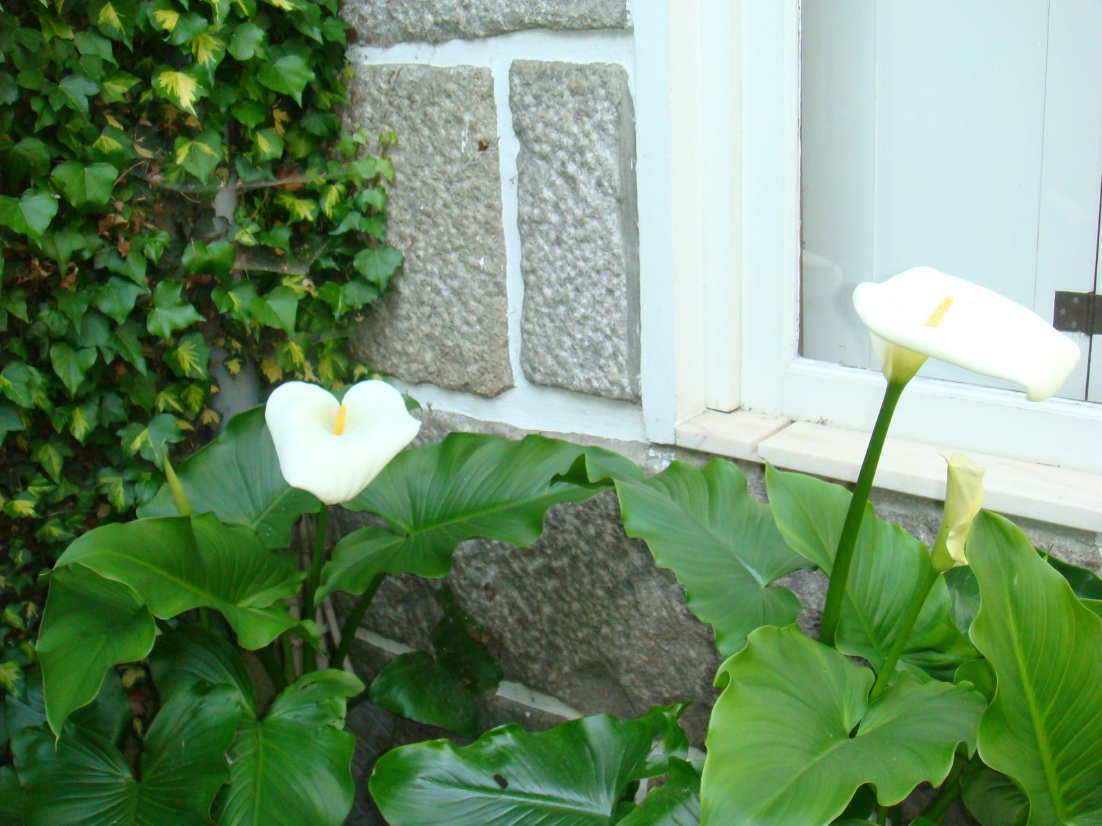 [DSC00069.JPG]