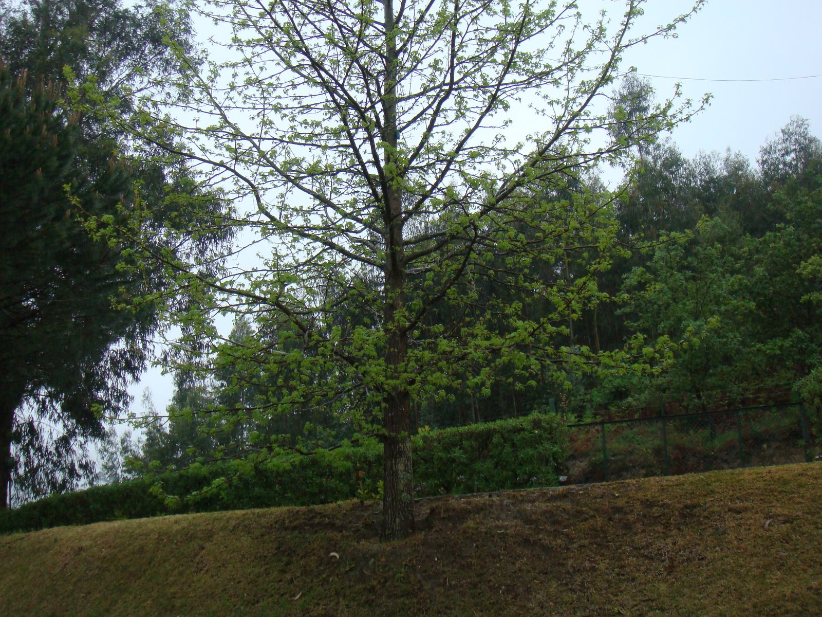[DSC00075.JPG]