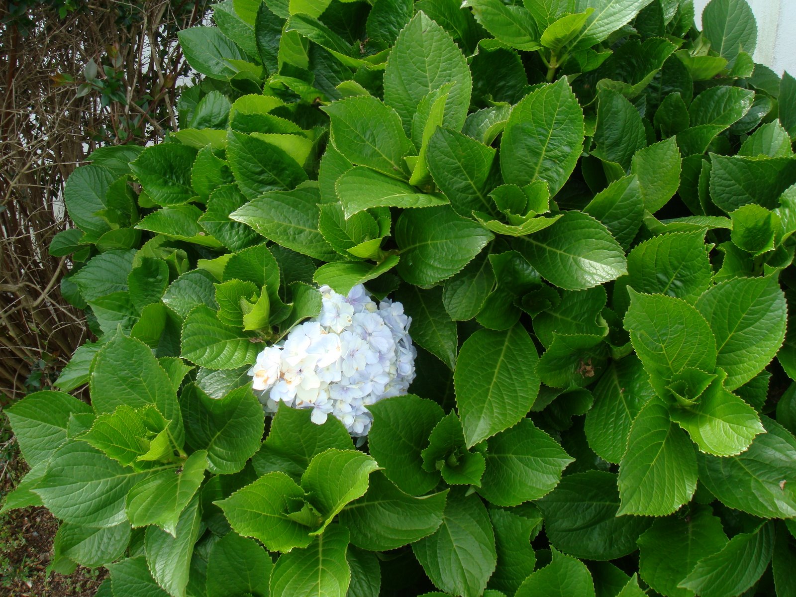 [DSC00104.JPG]