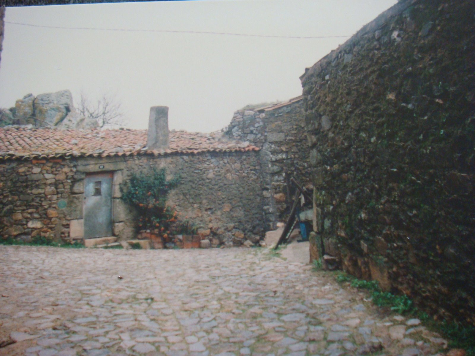 [DSC00525.JPG]