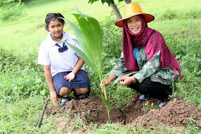 สื่อรักแม่ลูก มะพร้าวน้ำหอม