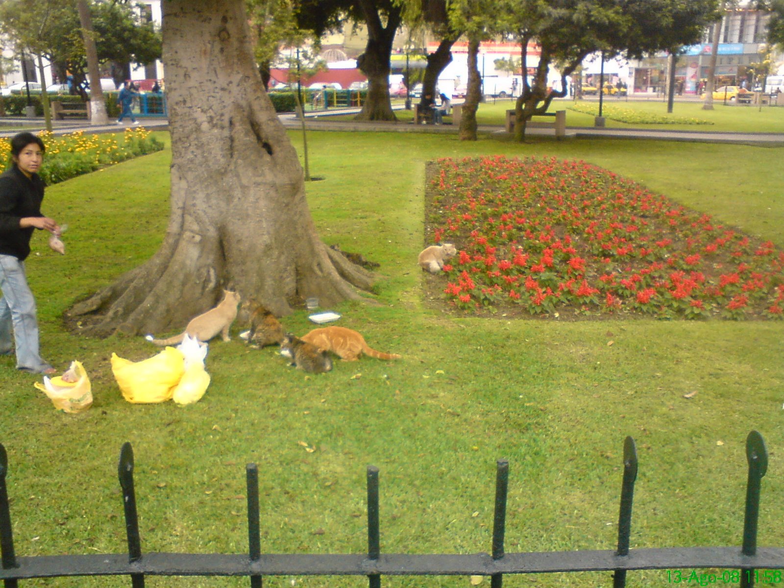 [DSC00445.JPG]