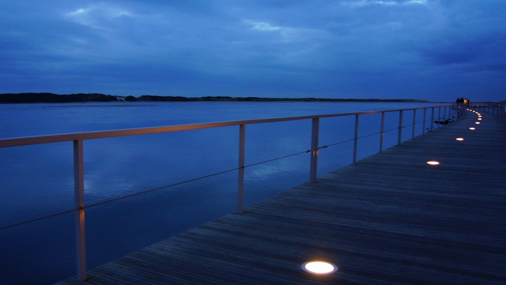 [DSC00781.JPG]