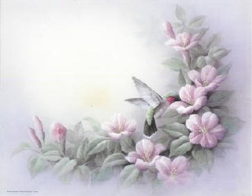 [cantik.bmp]