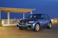 2010-BMW-X5M-8.jpg