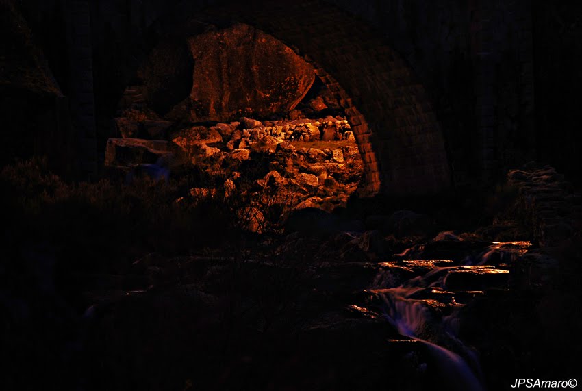 [20100220b.jpg]