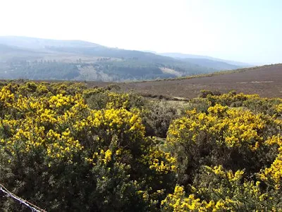 Holy Year Cross Hill