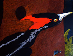 Ivory Billed Woodpecker