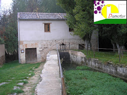 RINCONES DE LA RIBERA DEL DUERO