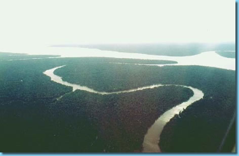 [amazonia.jpeg]