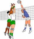 [voleibol.jpg]