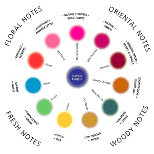 Hidden Brook Farm Basics of the Fragrance Wheel