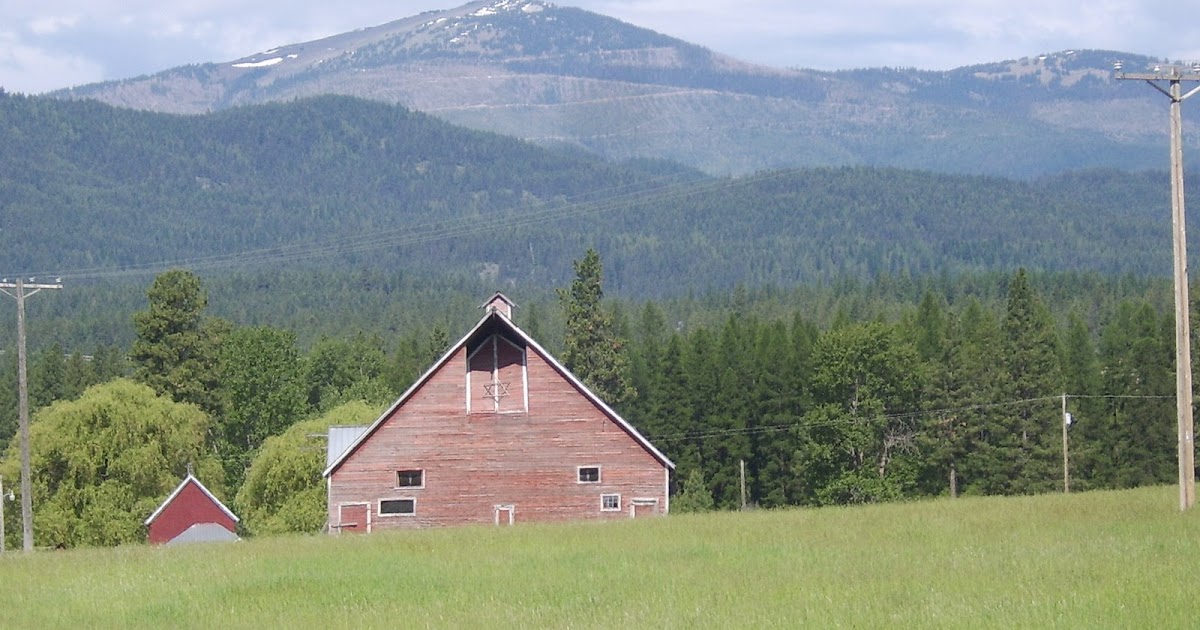 Adventuring On Calispell Peak near Cusick WA (this morning)