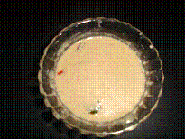 Til Seed(Ellu) Pachadi