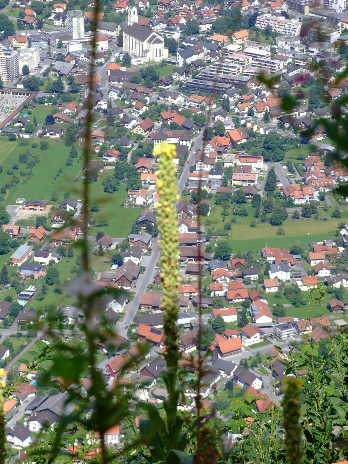 [DSCF6479.JPG]