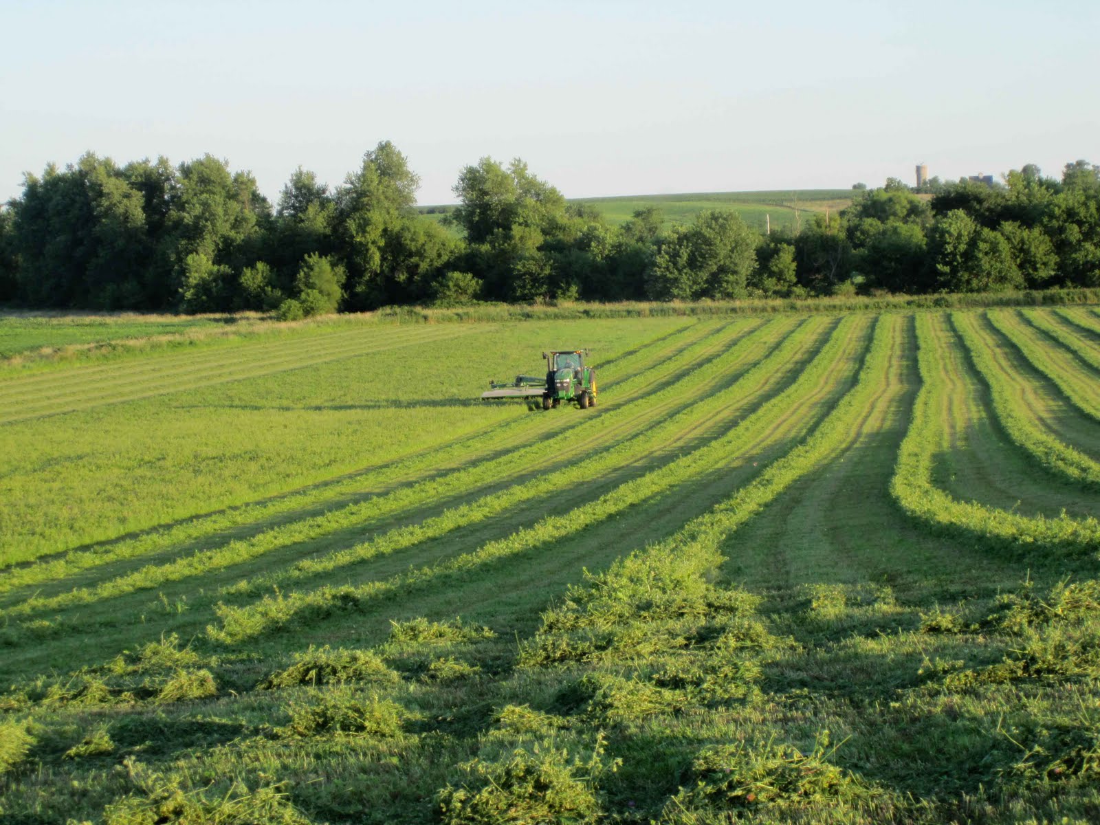 Mowing Hay
