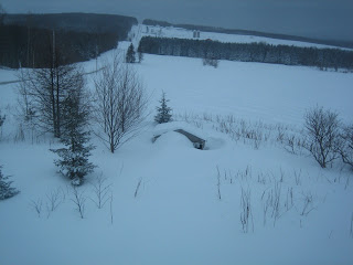 Coyote Des Neiges La Neige Partie 1 Les Bancs De Neige