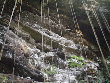 Paredes del cenote