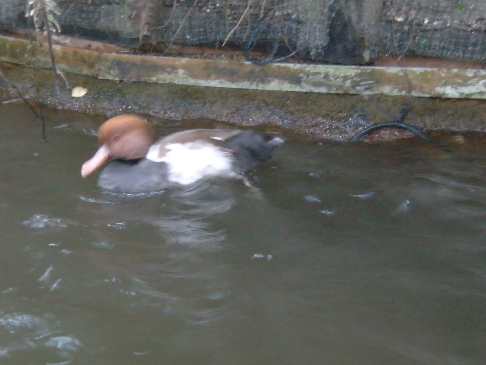 [PC131019.JPG]