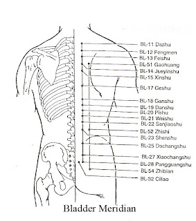 Holistic Acupuncture: Urinary Bladder Meridian | Kesehatan | Kebugaran ...