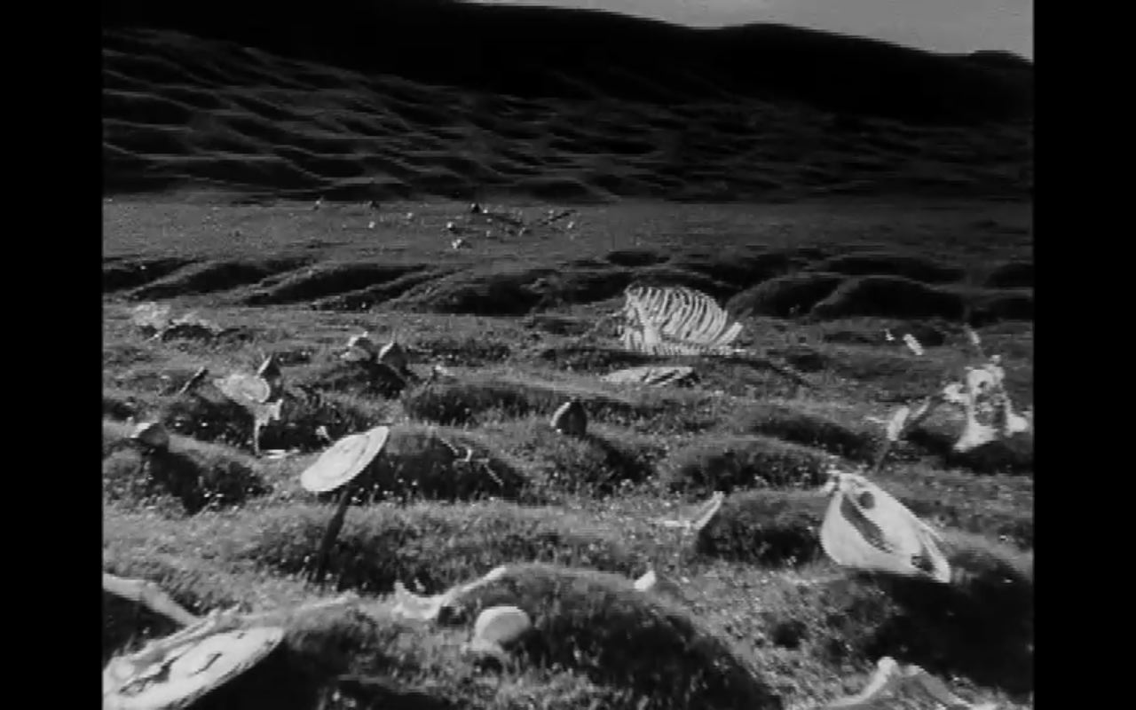 [QuickTime+PlayerScreenSnapz002.jpg]