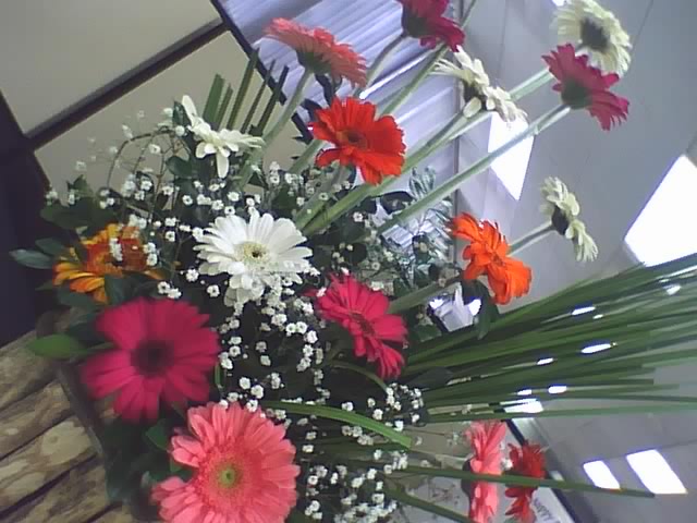 [30-10-08_1115.jpeg]