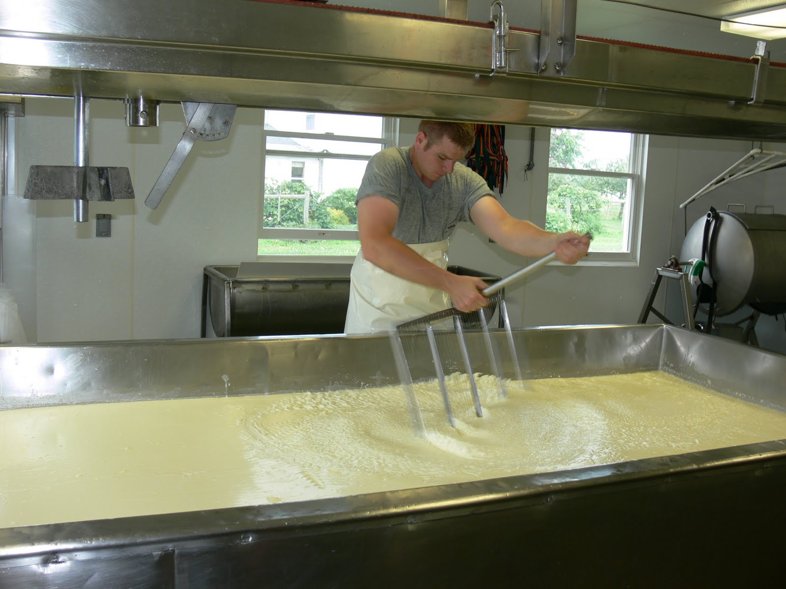 21st Century Odyssey Cheese making tour.