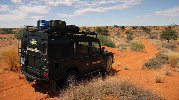 [kgalagadi-land-rover1.jpg]