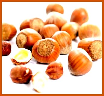 [seeds-avela.jpg]